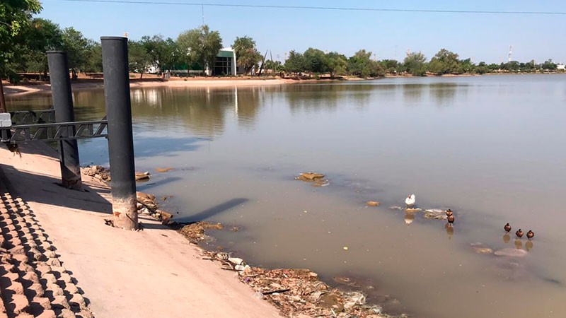 Baja el nivel de la Laguna Nainari, entérate por qué